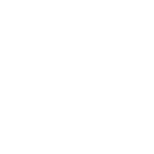 rice (1)